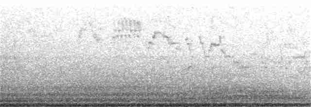 Bicknell Bülbül Ardıcı - ML337575201