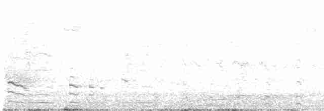 Common Gallinule (American) - ML337591761