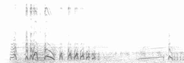 白腰叉尾海燕 - ML337647901