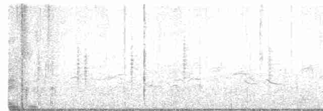 Oriental Reed Warbler - ML337694151