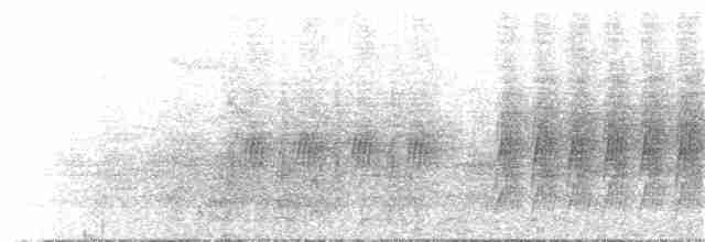 Eufonia Ventricastaña - ML337697411