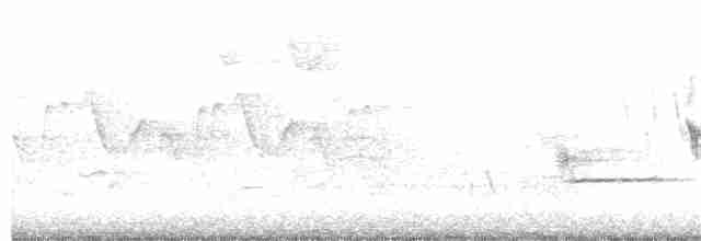 Черногорлая хвойница - ML337721151