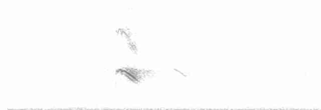Evening Grosbeak (Mexican or type 5) - ML337736601