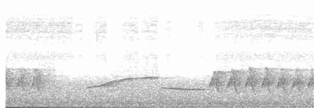 Корайский крапивник - ML337749861