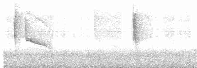 Kara Gerdanlı Karıncakuşu - ML337750251