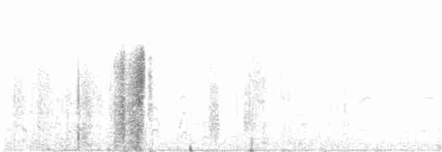 白腰叉尾海燕 - ML337888921