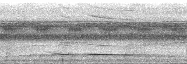 Ochre-striped Antpitta - ML33793