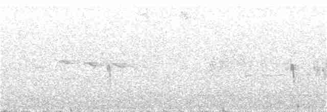 Western Orphean Warbler - ML338072121
