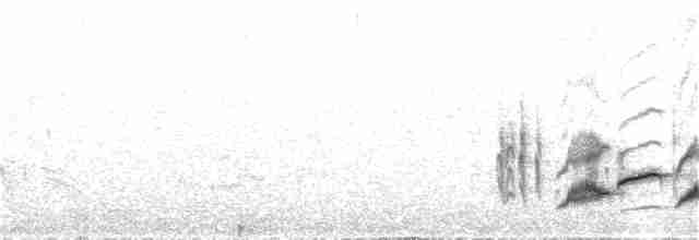 Western Orphean Warbler - ML338072131