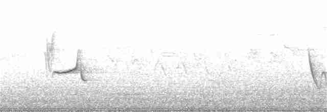 Сероголовый виреон - ML338077101