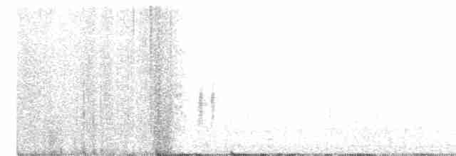Common Yellowthroat - ML338133821