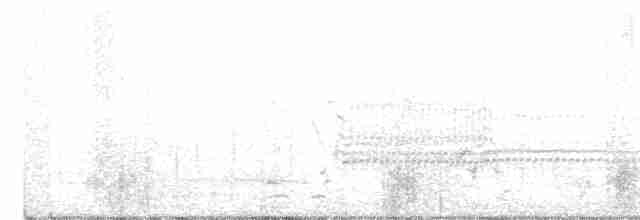 Common Yellowthroat - ML338133831