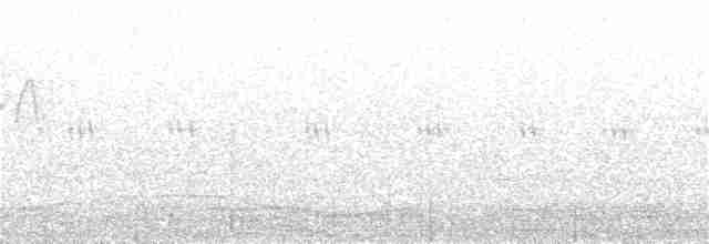 Cerulean Warbler - ML338170491