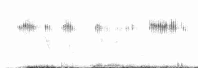 Широкохвостый колибри - ML338179871