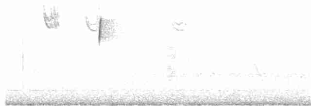 gulbrynkjernebiter - ML338248971