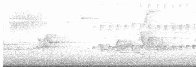 Acadian Flycatcher - ML338289701