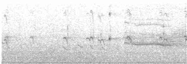 Common Tern - ML338397131