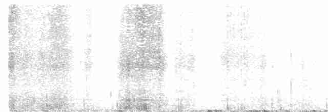 Дрізд-короткодзьоб плямистоволий - ML338402591