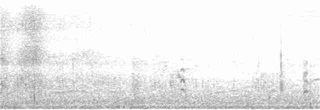 Американский ходулочник (mexicanus) - ML33849911