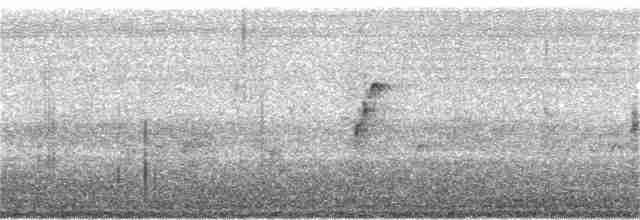 vlhovec červenokřídlý [skupina phoeniceus] - ML33849991