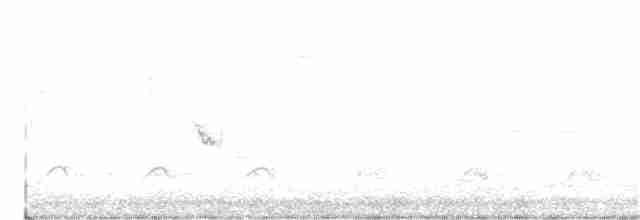 lesňáček modrokřídlý - ML338519321