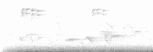 Дрізд-короткодзьоб Cвенсона - ML338536801