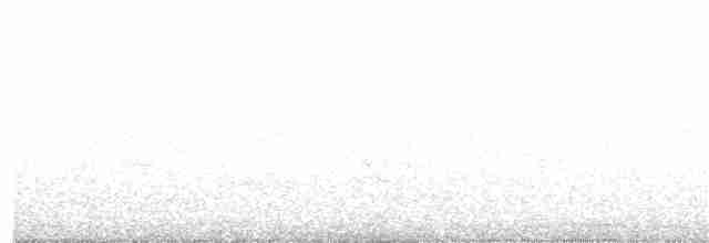 Дрізд-короткодзьоб Cвенсона - ML338598841