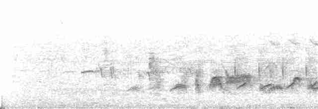 Western Orphean Warbler - ML338623141
