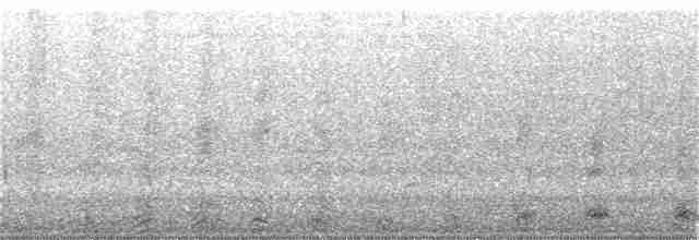 Black-crowned Night Heron - ML338710631