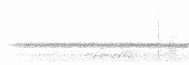 Schwarzkehl-Nachtschwalbe - ML338816001