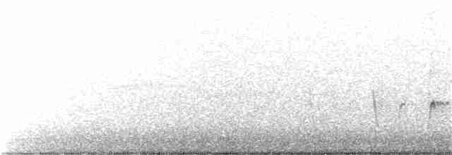 Paruline à gorge grise - ML338822921