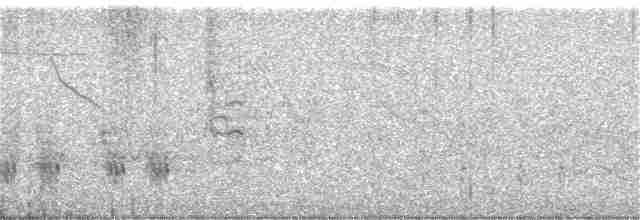 Great Reed Warbler - ML338966211
