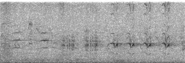 Great Reed Warbler - ML338968171