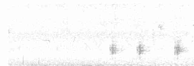 Great Reed Warbler - ML339079001