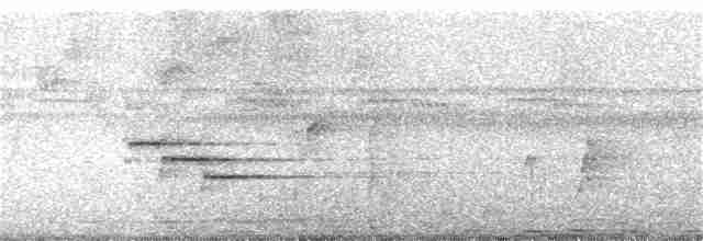 Lattice-tailed Trogon - ML339141181