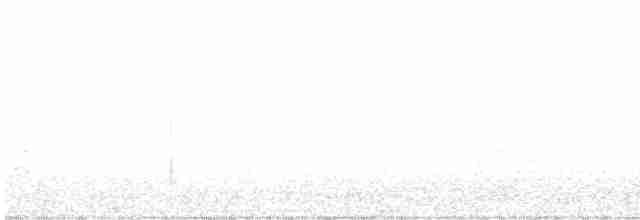 Черногорлая хвойница - ML339210781