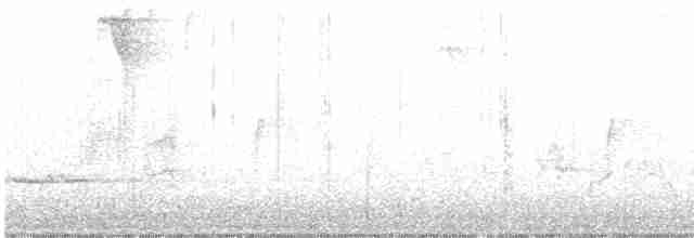 Connecticut Warbler - ML339240051