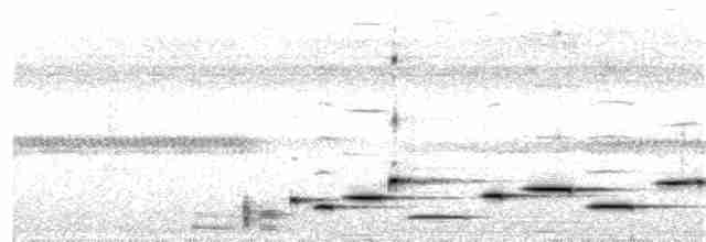 Troglodyte arada - ML339241821