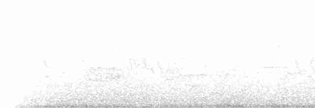 Cerulean Warbler - ML339266721