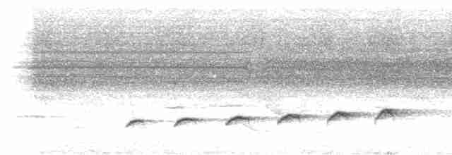 Fork-tailed Drongo-Cuckoo - ML339361851