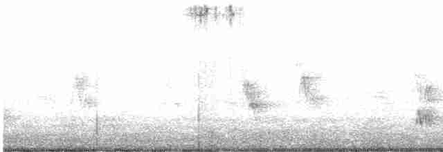 Brown-crested Flycatcher - ML339395381
