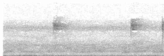 Kara Gıdılı Karıncakuşu - ML339481971