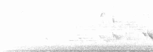 Чернокрылая пиранга - ML339482901