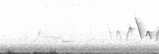 Common Yellowthroat - ML339548311