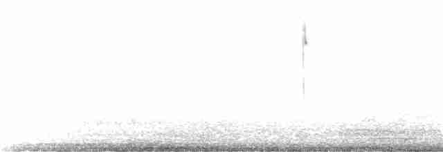 Курочка плямистобока - ML339647611