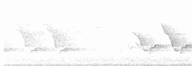 Поплітник каролінський - ML339673301
