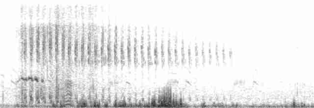 Benekli Notura Tinamusu - ML339701351