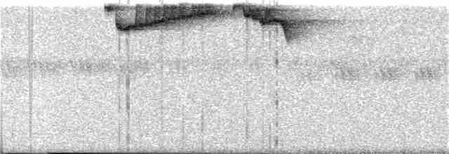Turuncu Başlı Ardıç - ML339760381