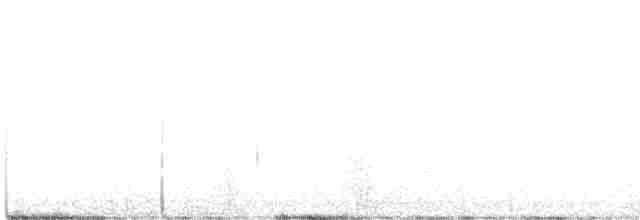 Tüpfelborstenvogel - ML339771741
