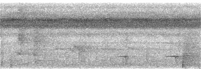 Black-chinned Whistler - ML339888131